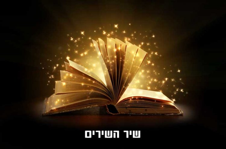 POESIA שִׁיר (Shir)