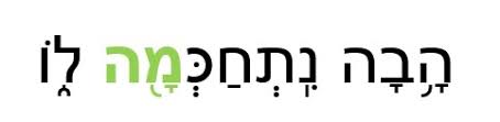 FARAONE פַּרְעֹה  (Par’ò)