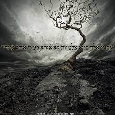 OMBRA  צֵל (Tzel)