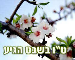 LA FESTA DEGLI ALBERI חַג הַאִילָנוֹת (Chag hailanòt)